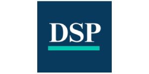  DSP Mutual Fund